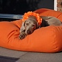 Hondenbed oranje
