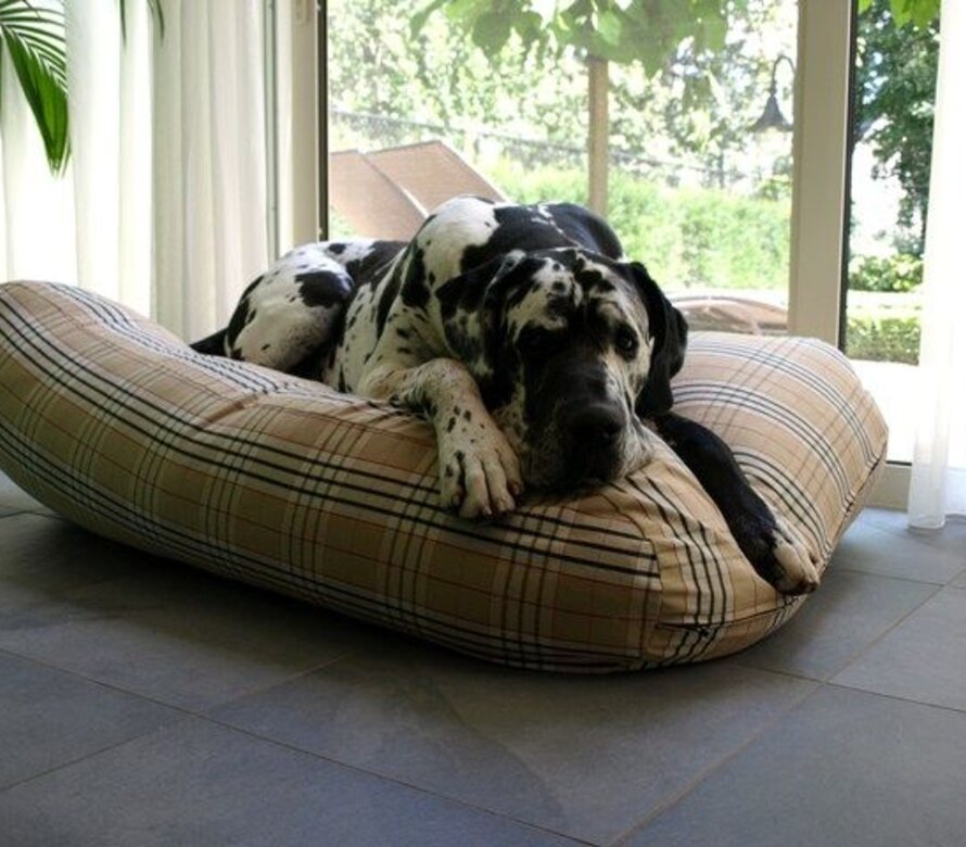 Hundebetten Superlarge