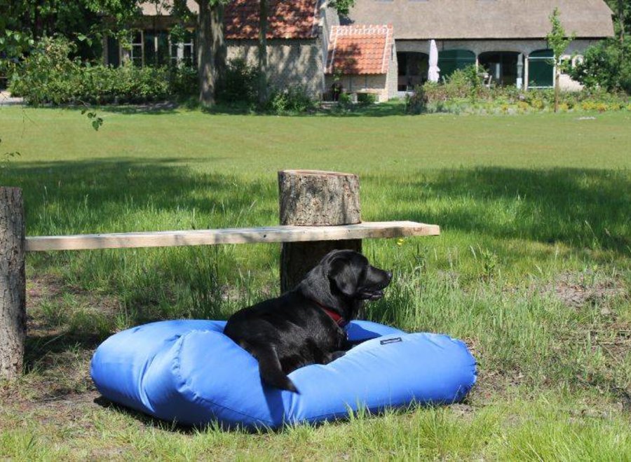 Hundebett Kobaltblau Beschichtet large