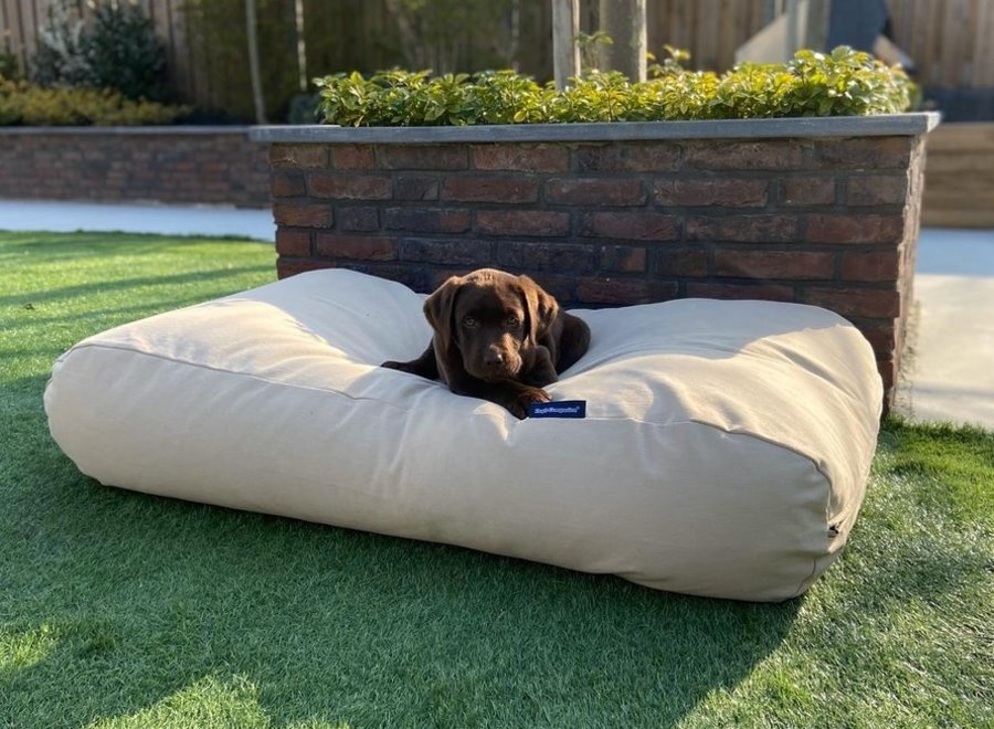 Hundebett Beige