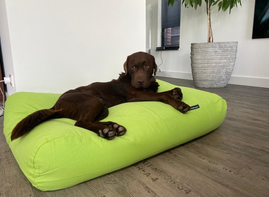 Hundebett Lime small