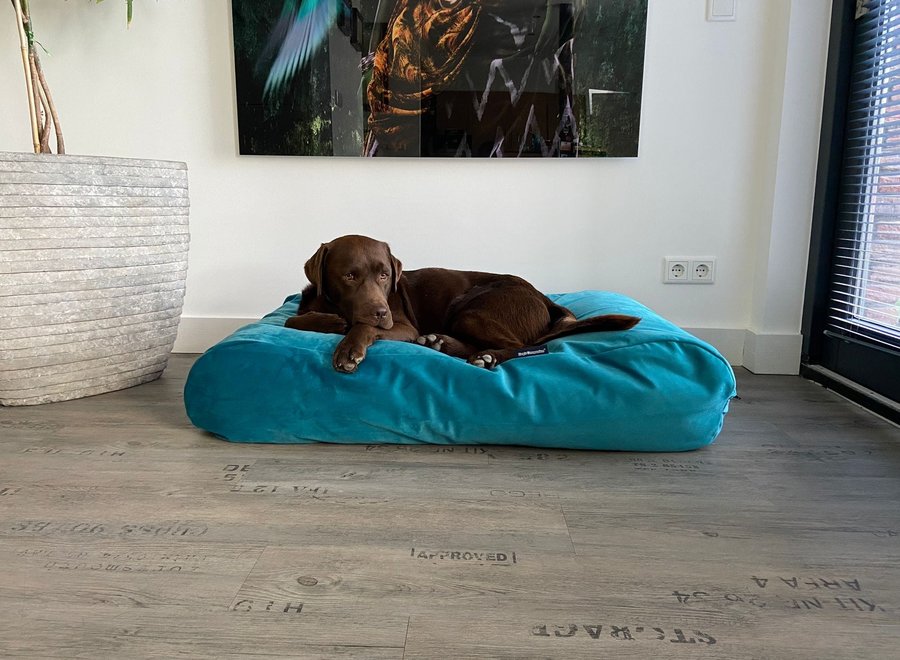 Hundebett Strong Turquoise Velvet