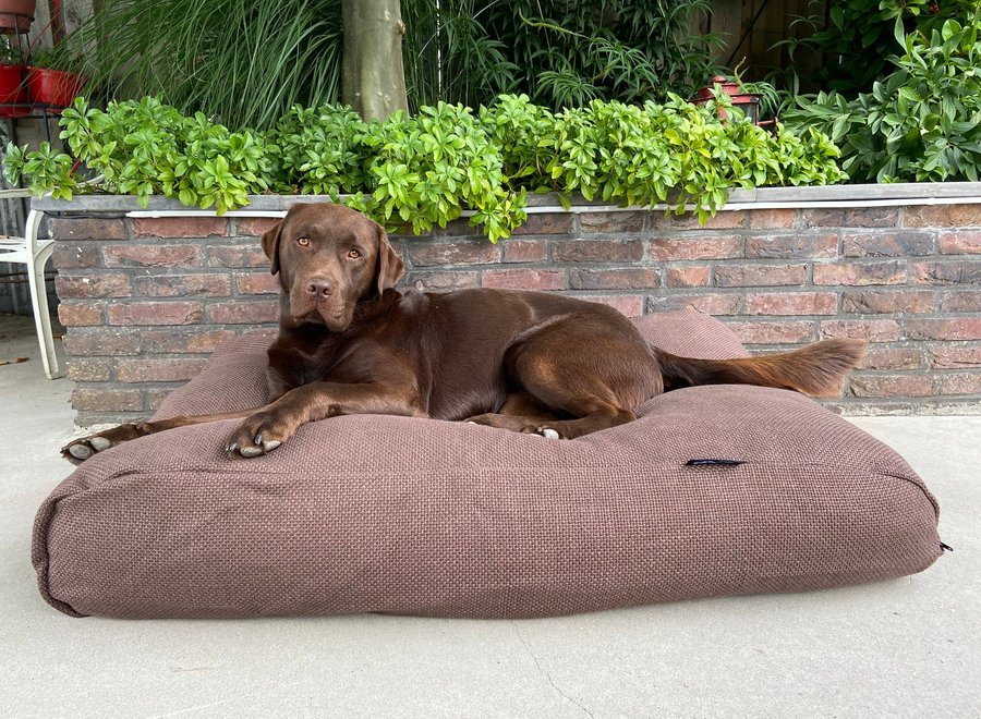 Dog bed Copenhagen Mocha