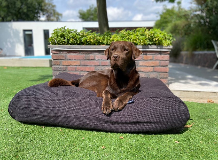 Dog bed Copenhagen Black