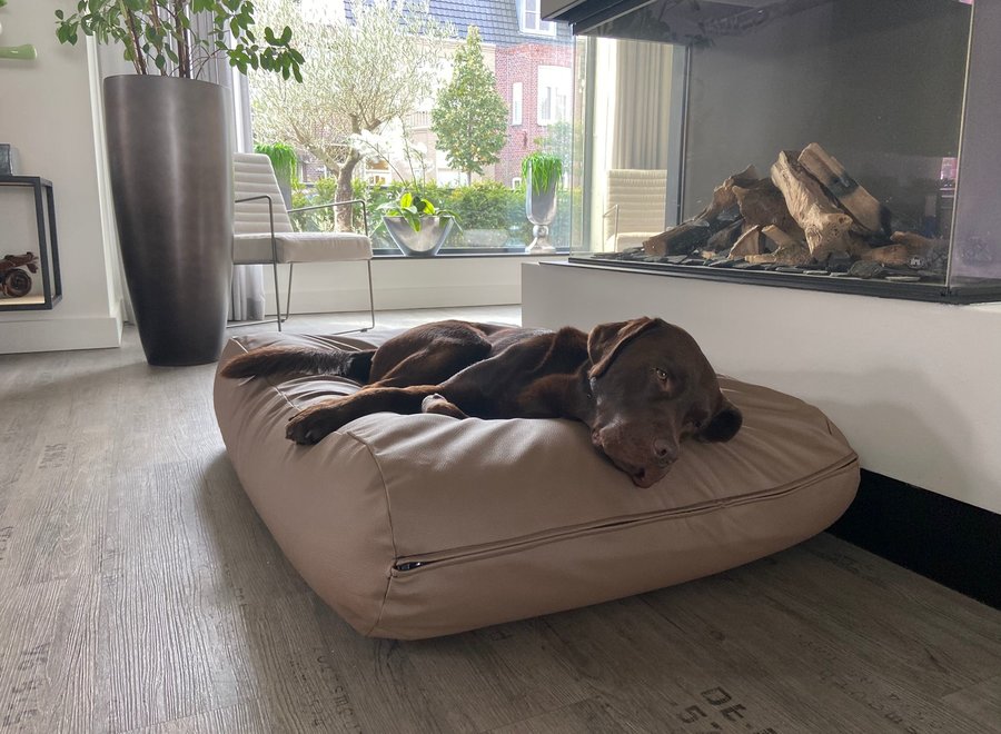 Hundebett Taupe Leather Look superlarge