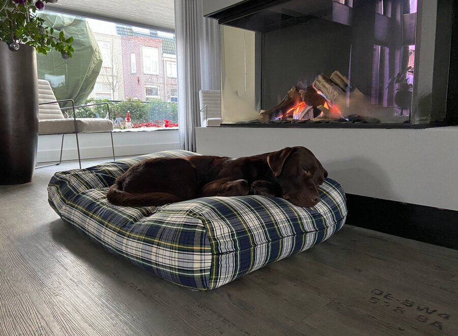 Hundebett Dress Gordon superlarge