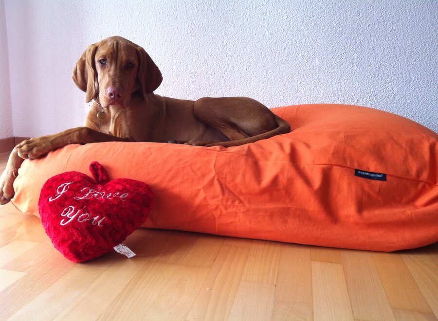 Hundebett Orange large