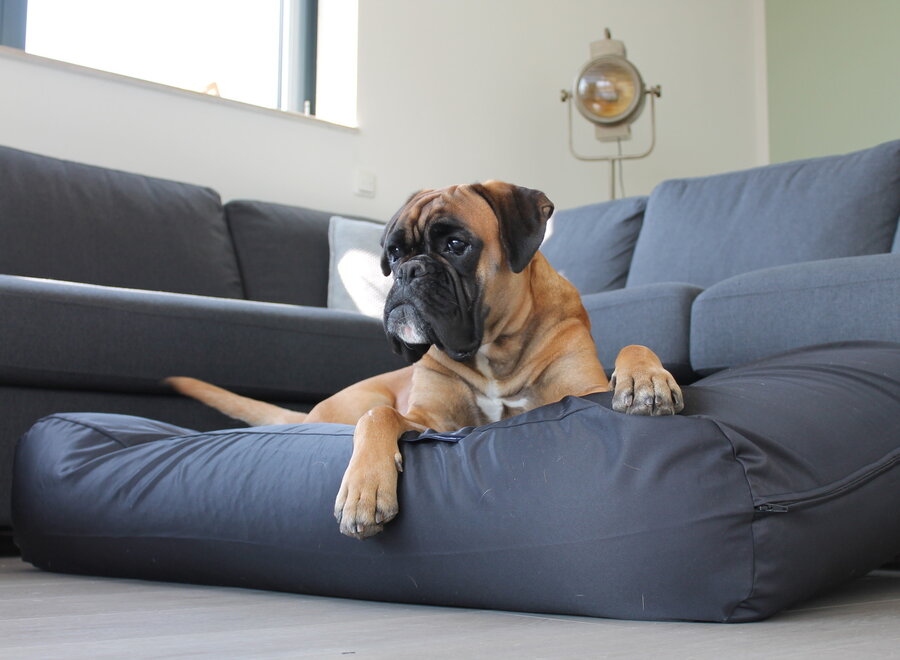 Hundebett Schwarz Beschichtet Superlarge