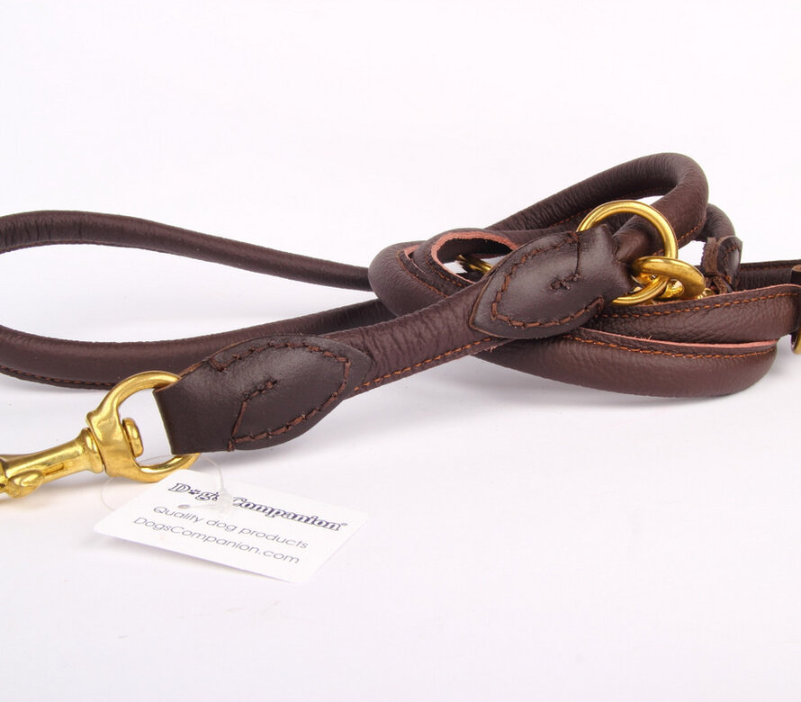 Hundeleine Leder 