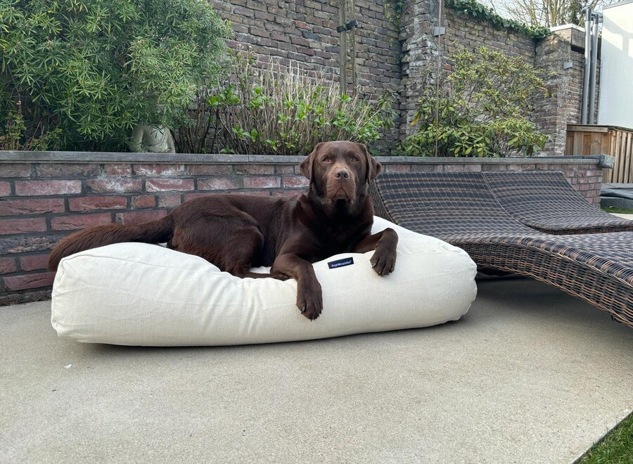 Hundebett Off White Polster