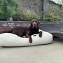 Hundebett Off White Polster medium