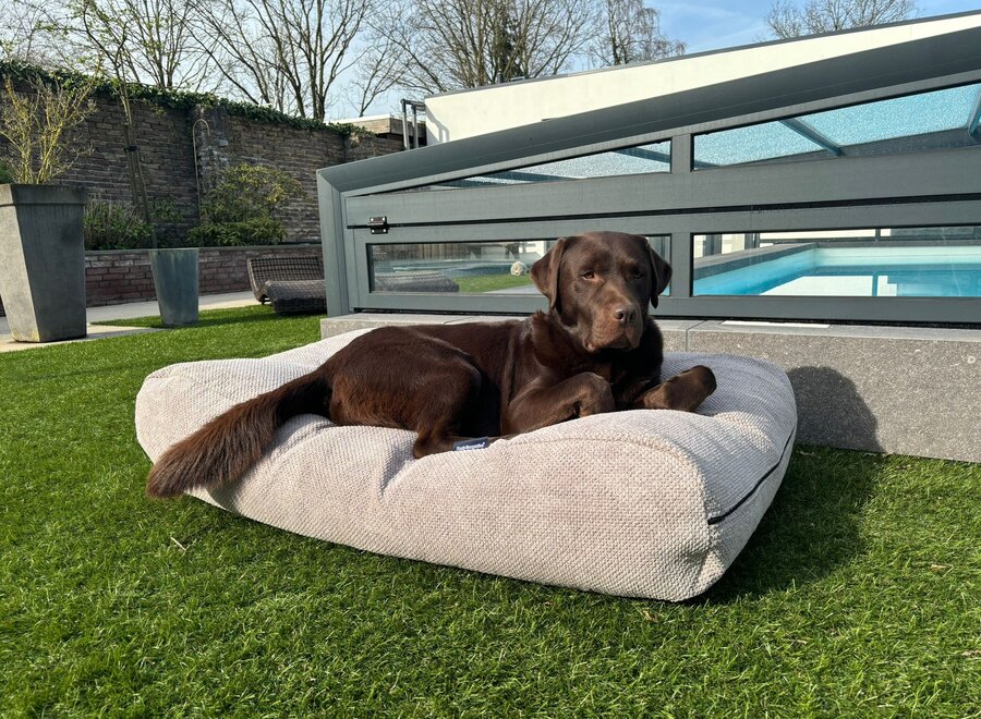 Hundebett Soft Feather Light Grey