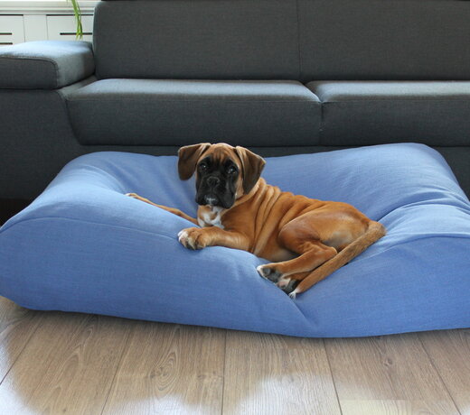 Large Hunde-Kissen Outlet – Großes Hundebett für große Hunde günstig kaufen | Dog’s Companion