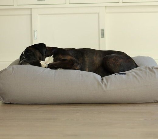 Medium Hundebetten