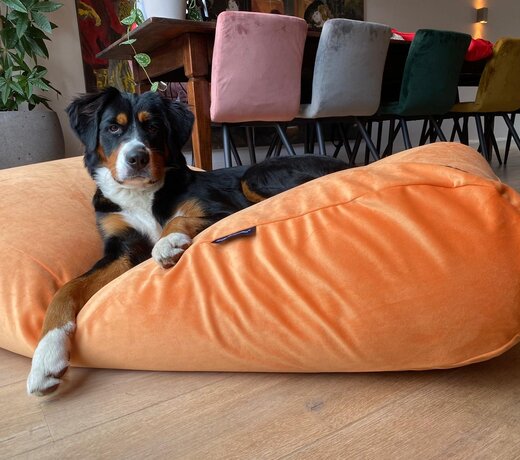 Extra Small Bezüge Hundebetten