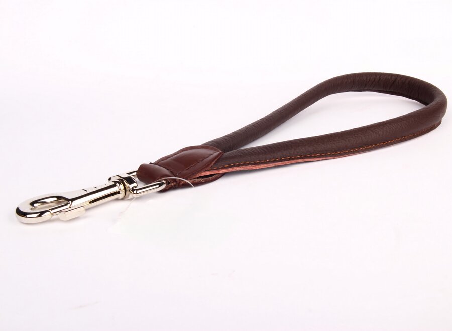 Kurze Lederleine