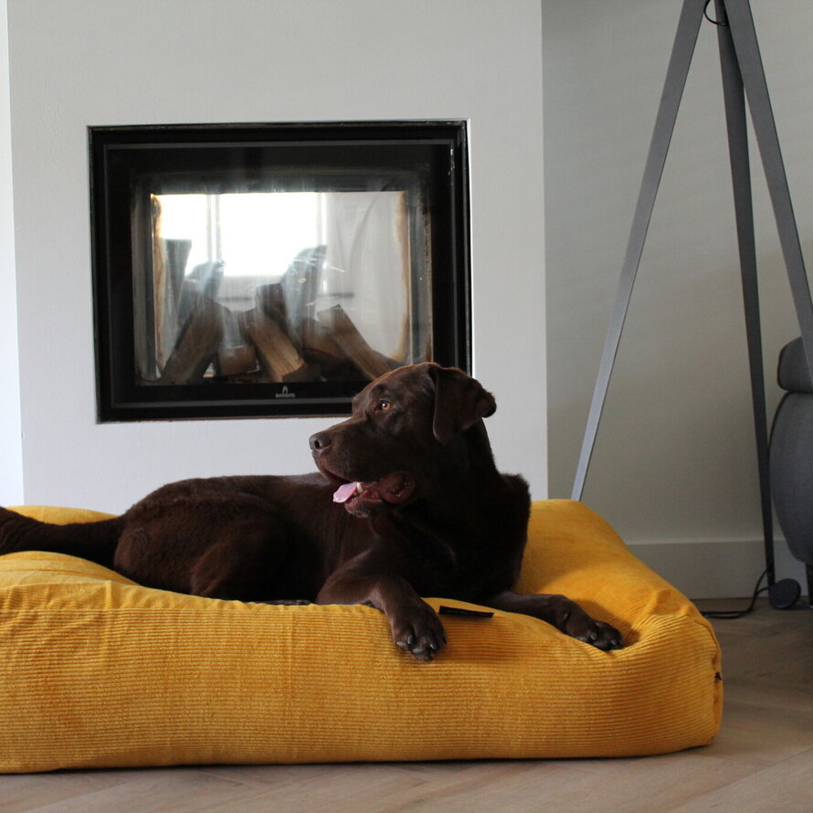 Hundebetten Gelb