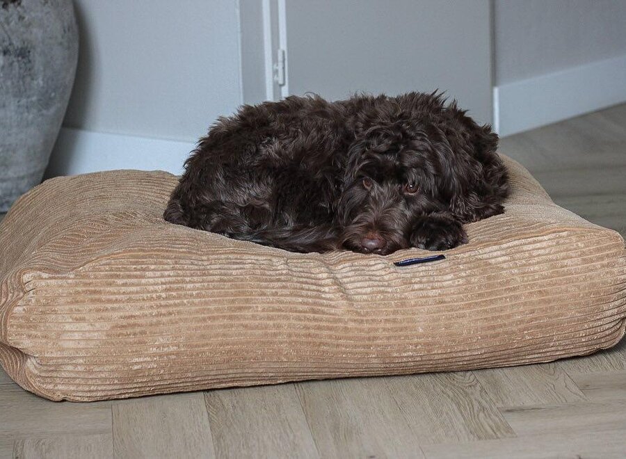 Hundebett Kamel Giant Cord Extra Small