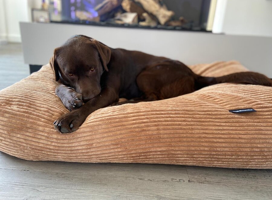 Hundebett Kamel Giant Cord Small