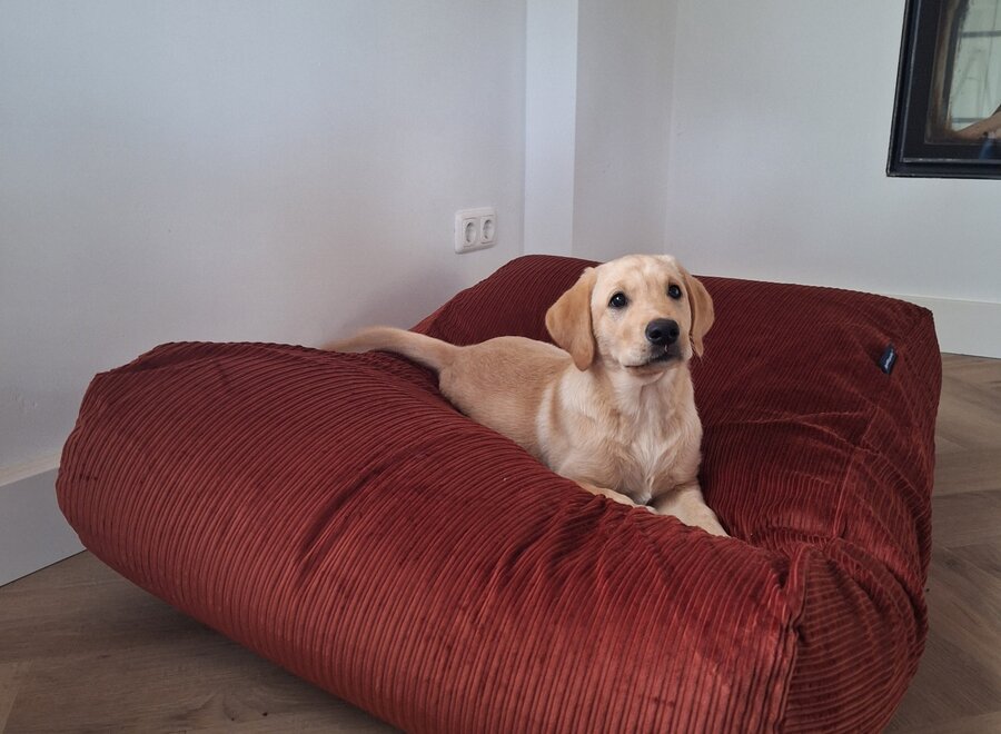 Hundebett Brique Doppelcord