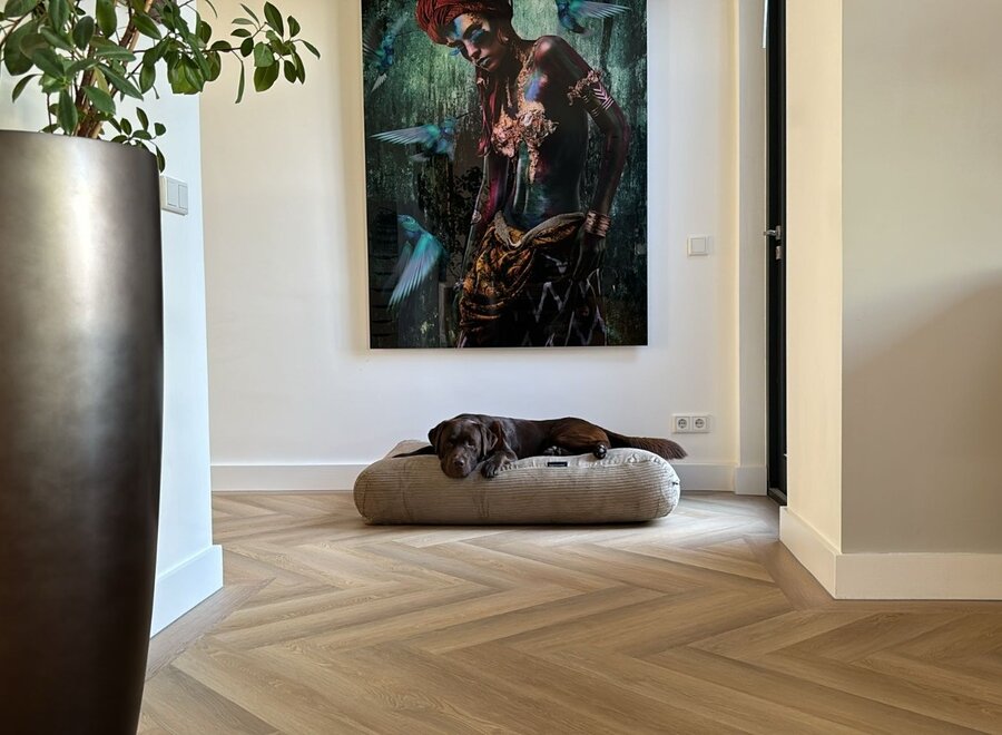 Hundebett Leber Doppelcord Medium