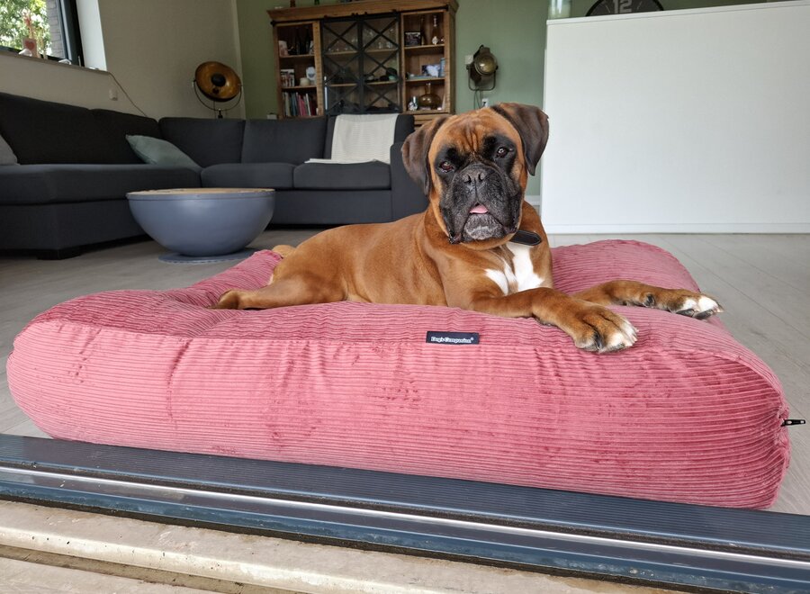 Hundebett Altrosa Doppelcord