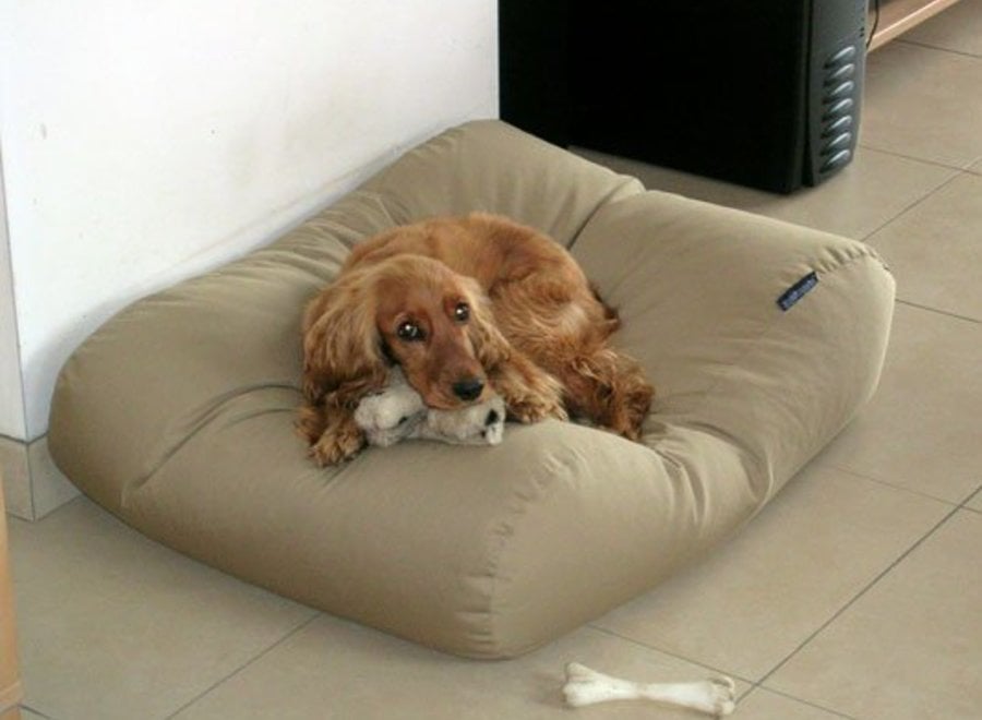 Hundebett Beige