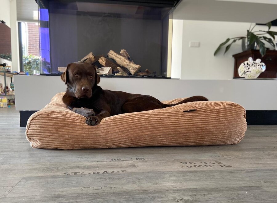 Hundebett Kamel Giant Cord Medium