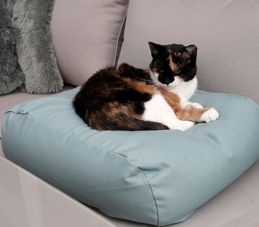 Hundebetten Extra Small