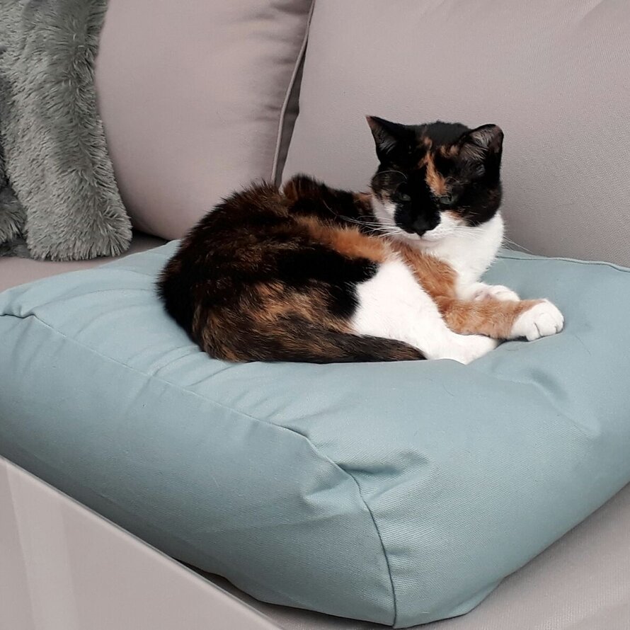 Hundebetten Extra Small