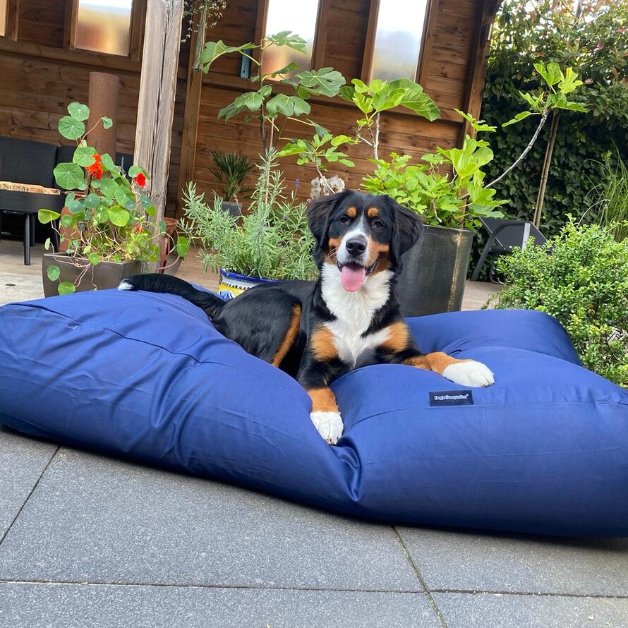 Hundebetten schmutzabweisender Beschichtung / Outdoor