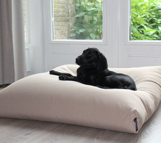 Hundebetten (Hundebox)