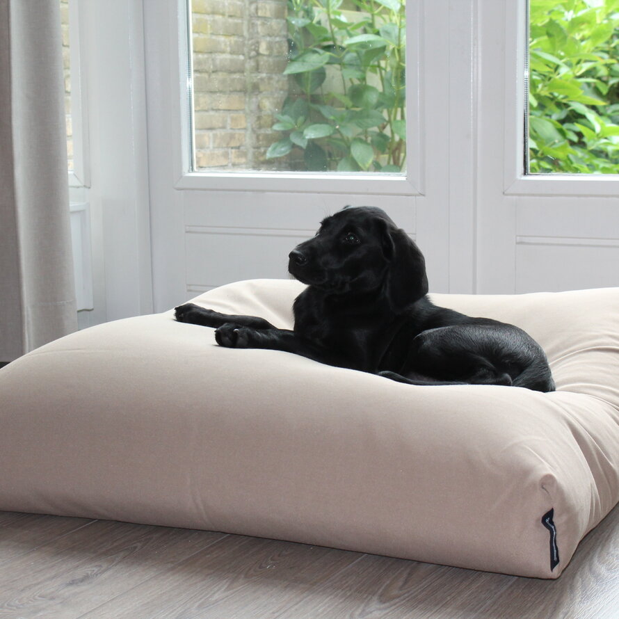 Hundebetten (Hundebox)