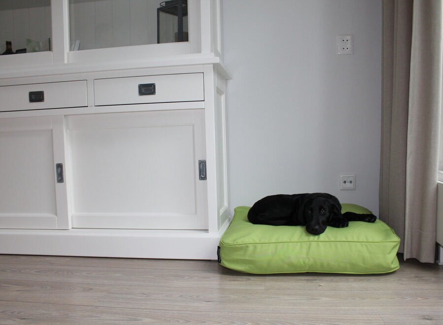 Hundeboxkissen lime 68 x 62 x 10 cm