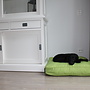 Hundeboxkissen lime 68 x 62 x 10 cm