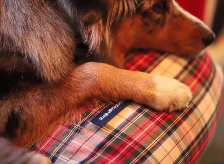 Hundebett Dress Stewart Extra Small