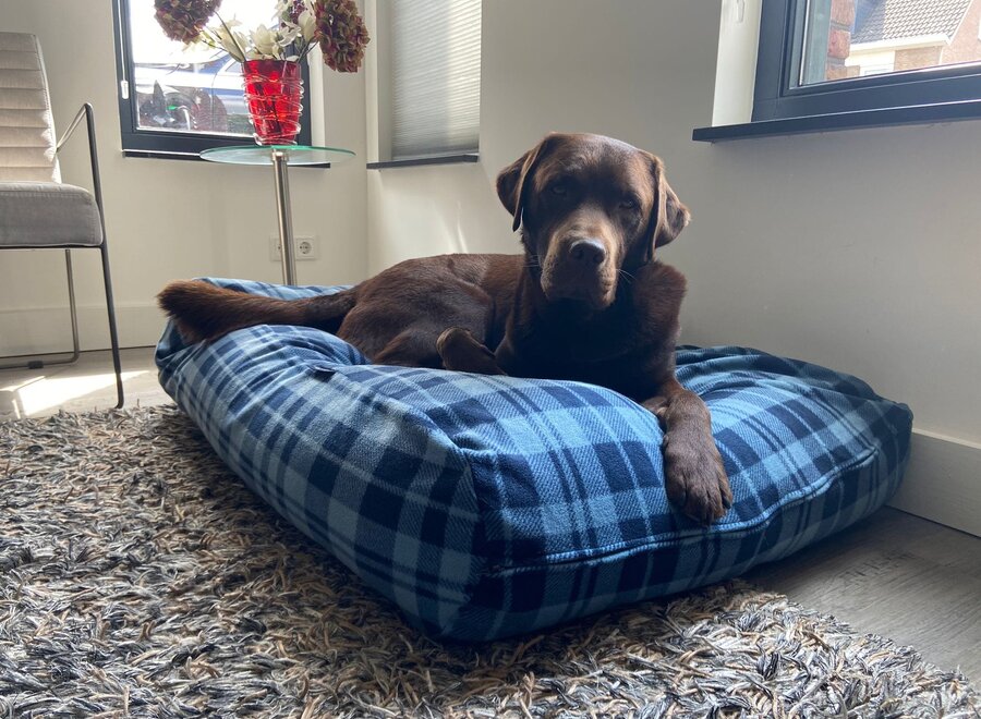 Hundebett Fleece Cosy Blue Extra Small