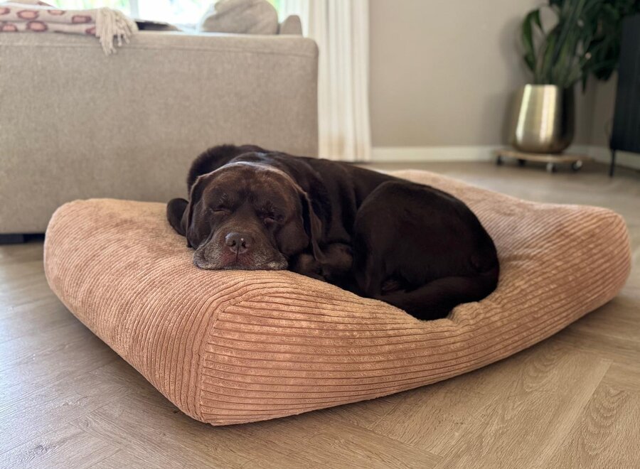 Hundebett Kamel Giant Cord Extra Small