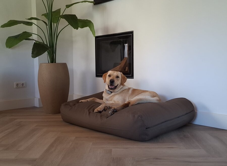 Hundebett Flieder/Braun Medium