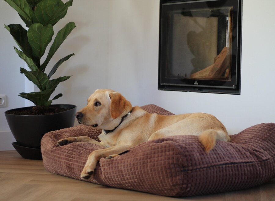 Hundebett Little Square Soft Brown Large