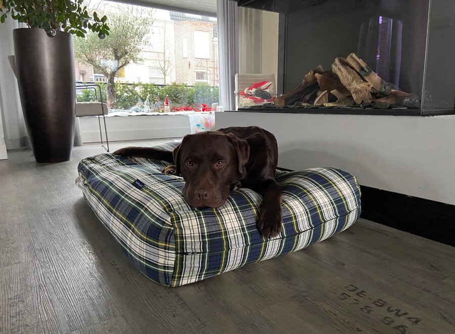 Hundebett Dress Gordon Superlarge