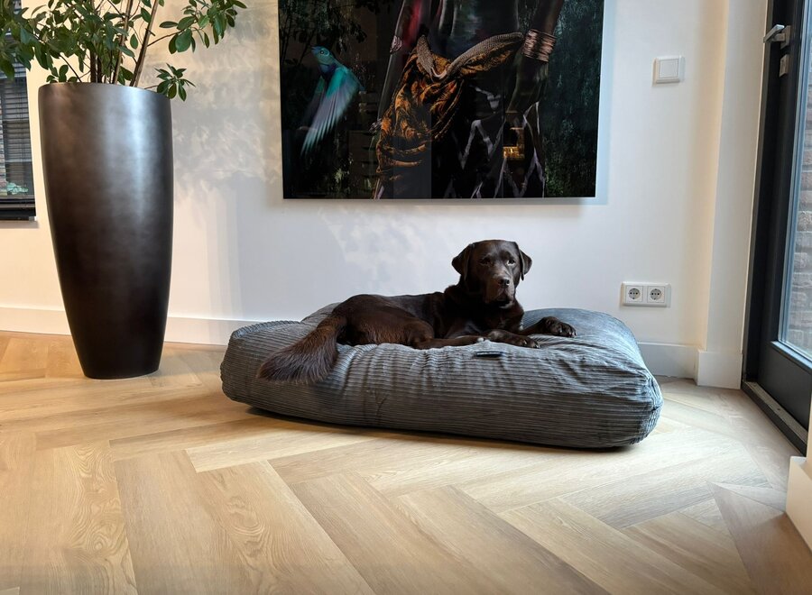 Hundebett Mausgrau Doppelcord Medium