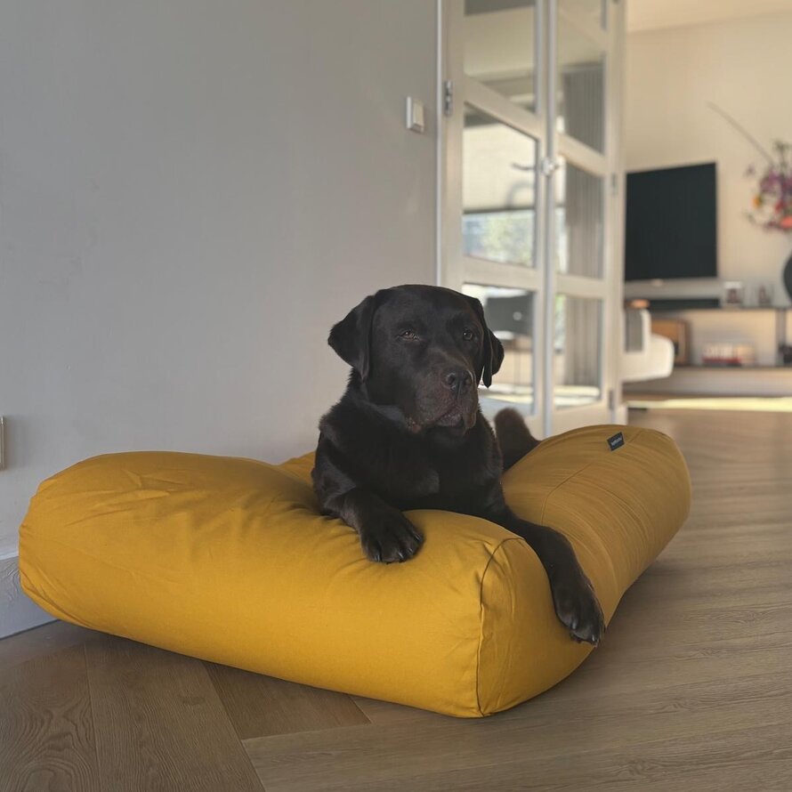 Hundebetten Gelb