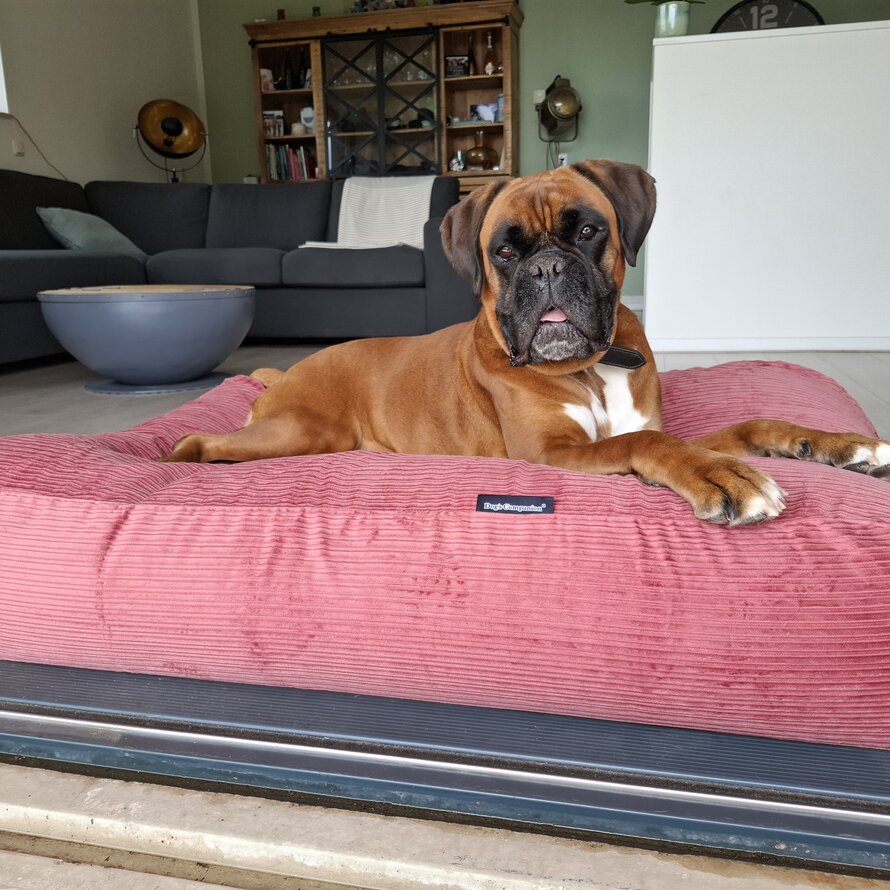 Frühlingsinspiration