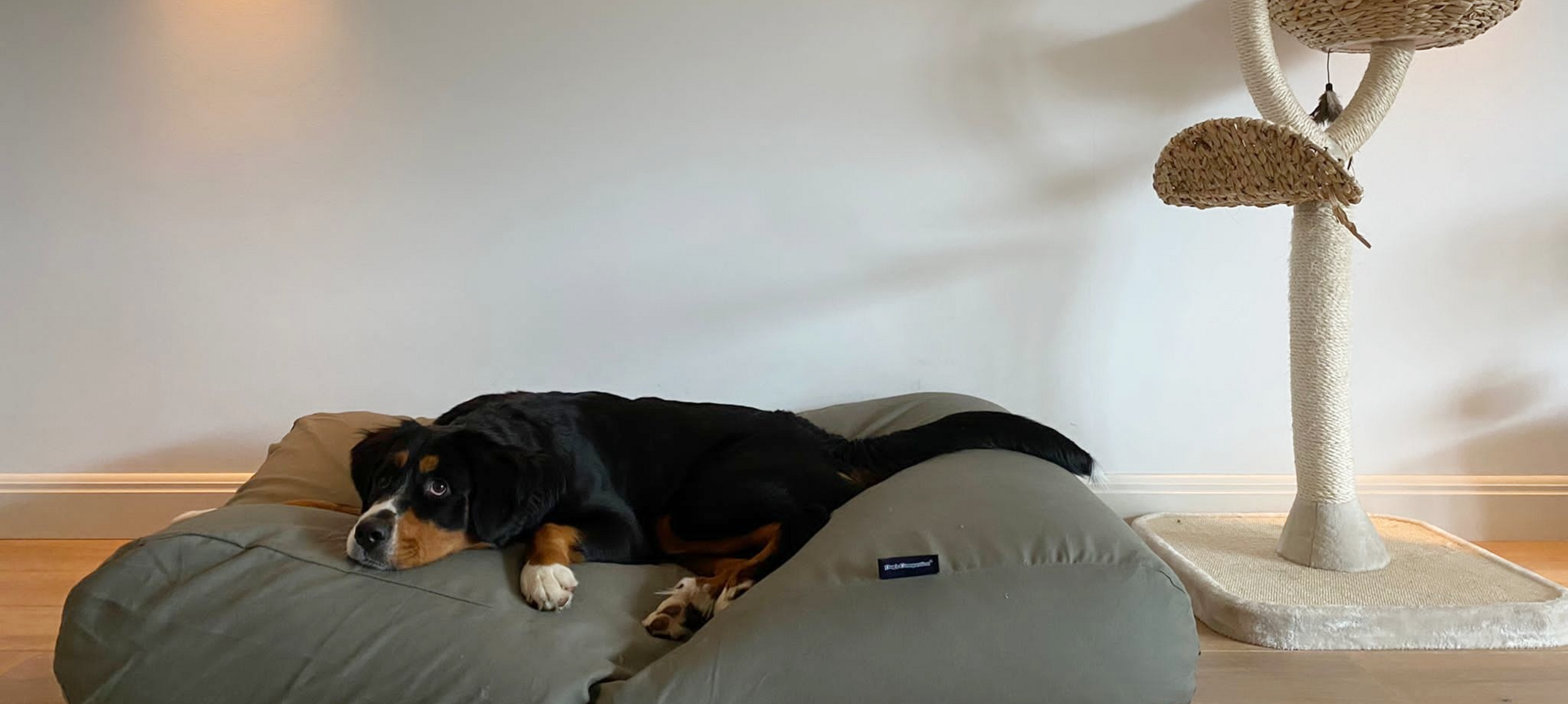 Hundebett für große Hunde