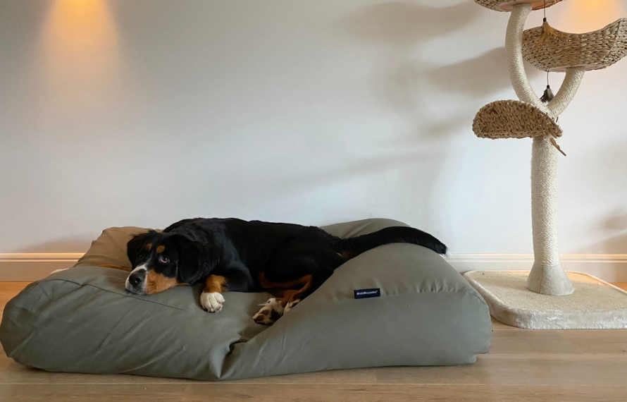 Hundebett für große Hunde