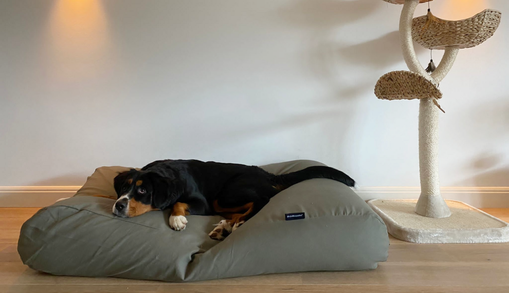 Hundebett für große Hunde