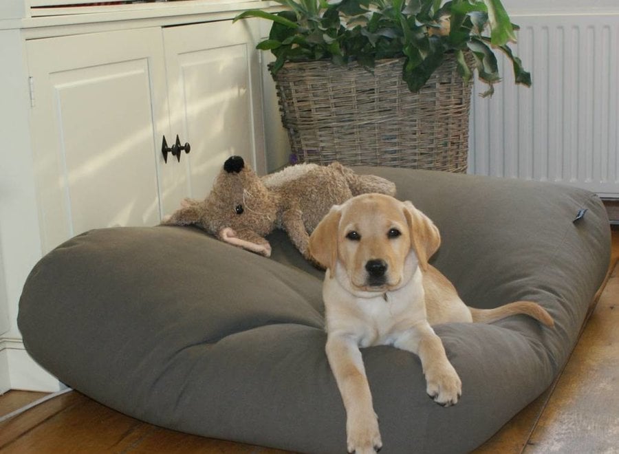 Hundebett Mausgrau medium