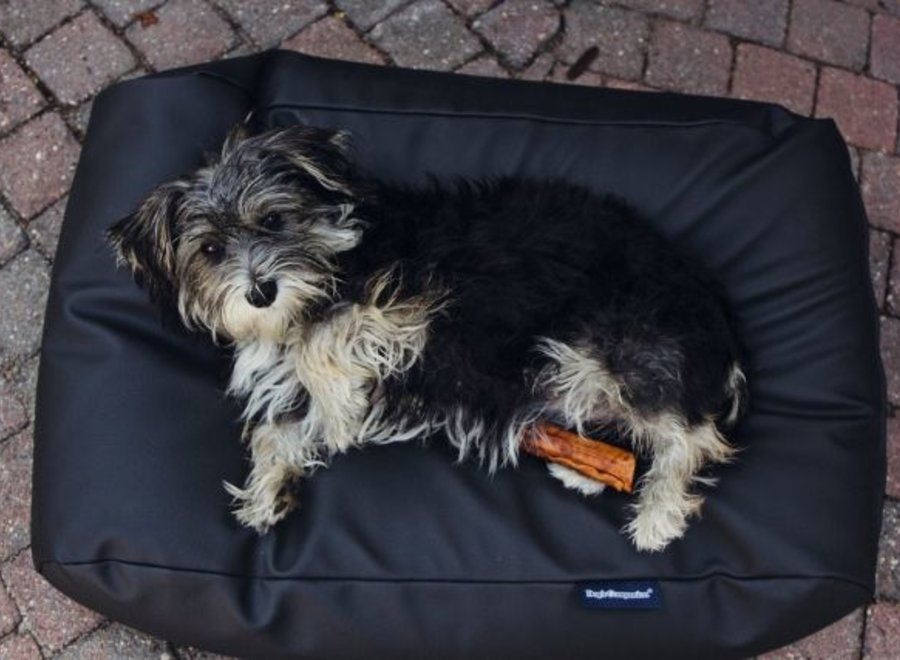 Hundebett Schwarz Leather Look small