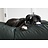 Dog's Companion® Dog bed Hunting (coating)